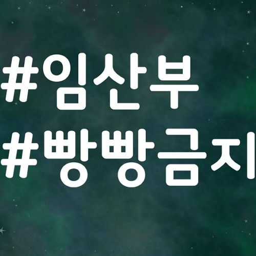 스튜디오치치카포  리틀메테오 자동차 스티커 해시태그 임산부 빵빵
