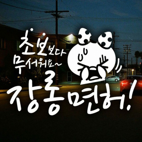 제제데코  장롱면허 쁘띠 초보운전 스티커