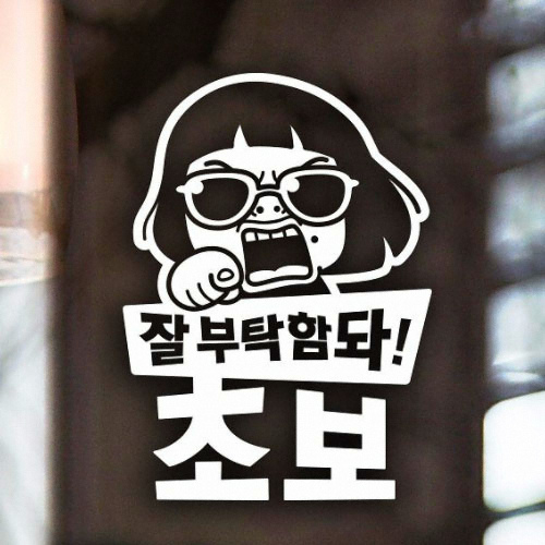 제제데코  잘부탁함돠 초보 초보운전 스티커