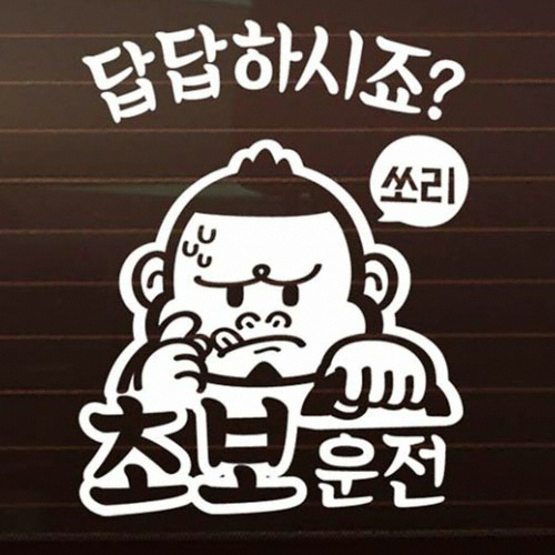 제제데코  초보답답 싸나이 초보운전 스티커