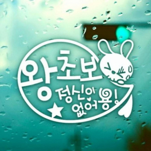제제데코  말풍선 왕초보 토끼 초보운전 스티커