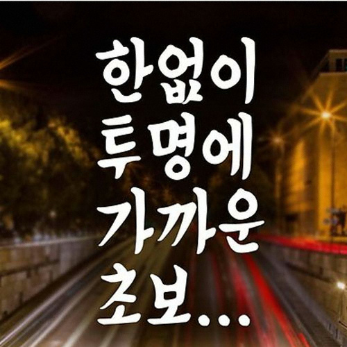 제제데코  텍스트 한없이 투명에 가까운 초보 초보운전 스티커