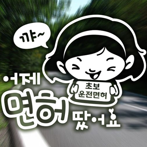 제제데코  자동차스티커 꽃님이의 어제 면허땄어요