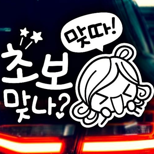 제제데코  초보맞나 초보운전스티커