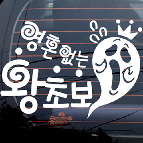 제제데코  영혼없는 왕초보