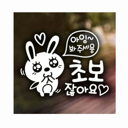 제제데코  아잉 초보 애교토끼