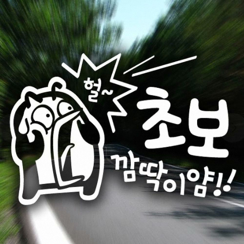 제제데코  초보펭키 깜딱이얌 초보운전 스티커