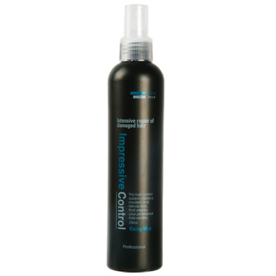 뮤겐스 게츠 임프레쉬브 컨트롤 픽싱 미스트 250ml