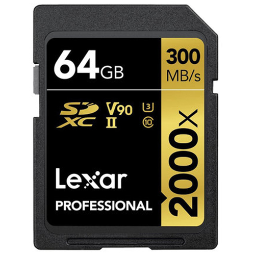 렉사  SD Professional 2000X 2018