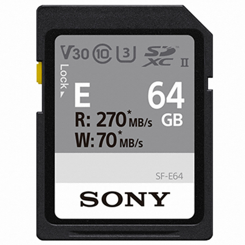 SONY  SD E시리즈 2020