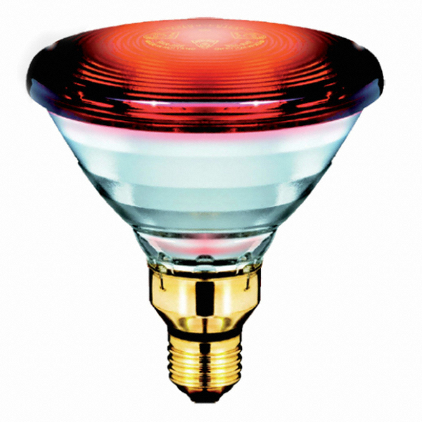 필립스 PAR38 적외선전구 150W