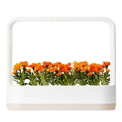 LG전자 틔운 미니 L012