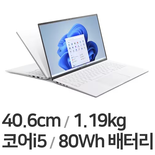 LG전자 2022 그램16(12세대) 16Z90Q-GAFWK