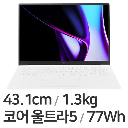 LG전자 2024 그램 프로17 17Z90SP-GA5HK