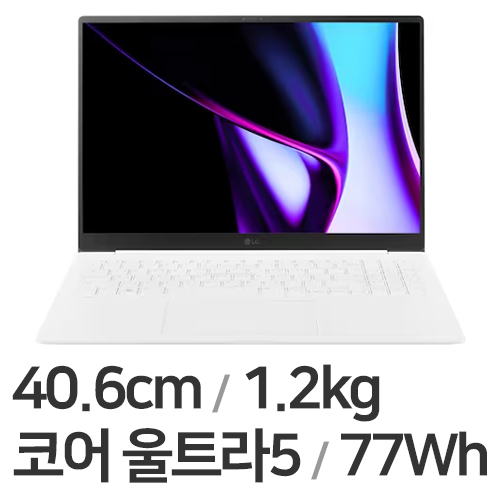 LG전자 2024 그램 프로16 16Z90SP-GA5CK