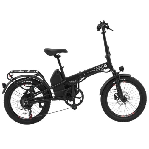 비아지오  V5 PAS