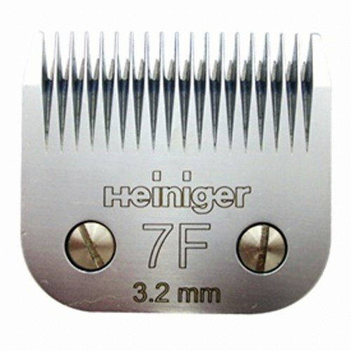 하인이거  교체날