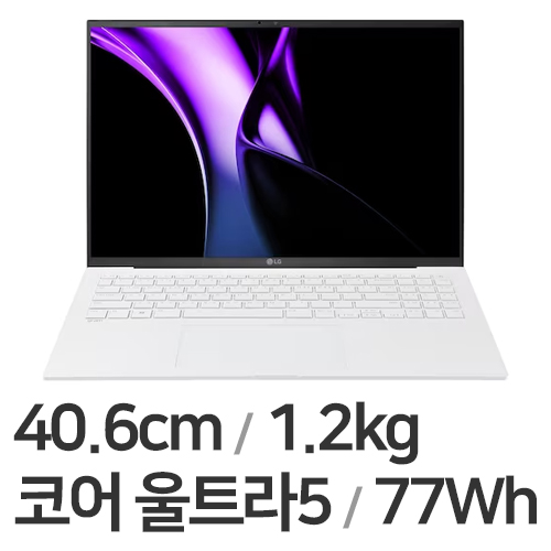 LG전자 2024 그램16 16Z90S-GAOWK