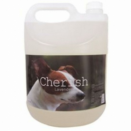 KPI 체리쉬 항균 탈취제 라벤더향 4000ml