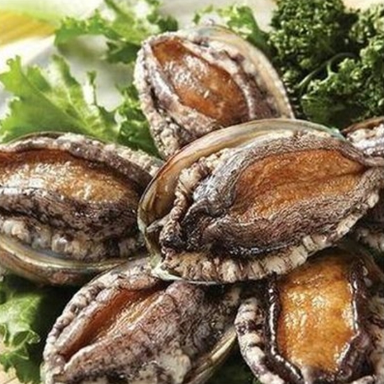 해드림수산  완도 참전복 선물세트 20~22미 2kg