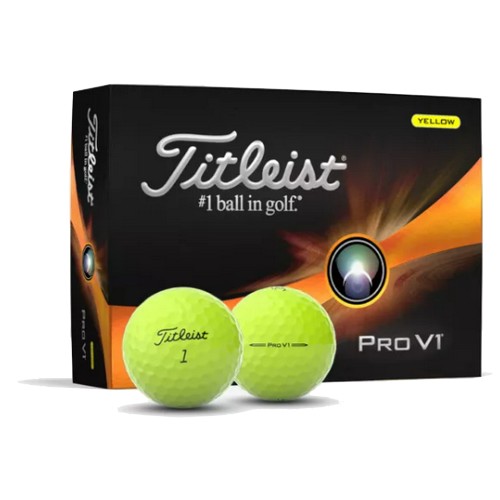 타이틀리스트  2023 프로 V1