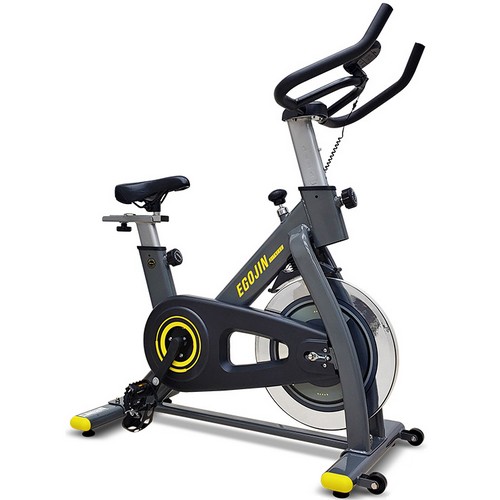 이고진  스핀바이크 1101M