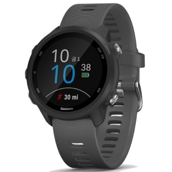 가민  포러너 245