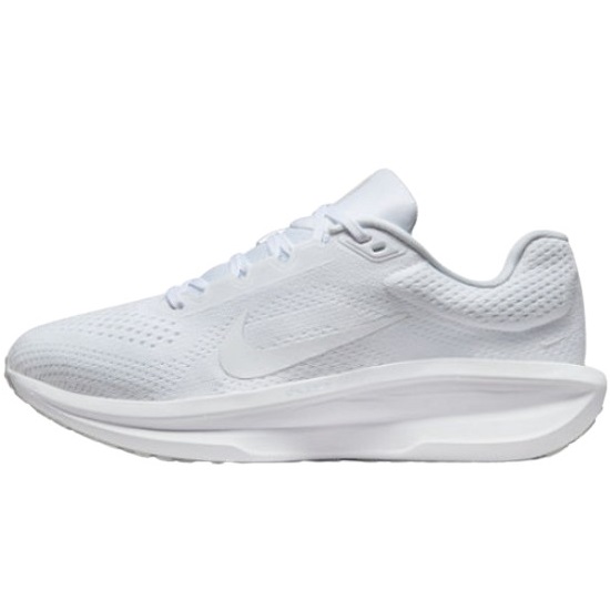 나이키 윈플로 11 FJ9510-100