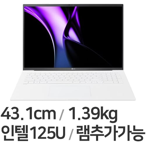 LG전자 2024 그램17 17ZD90SU-GX56K 16GB램