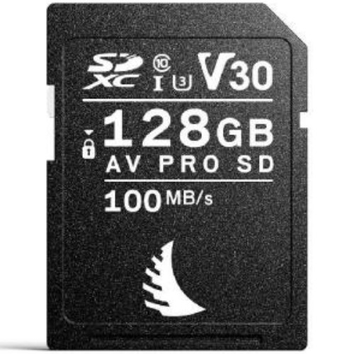 엔젤버드  AV PRO SD V30
