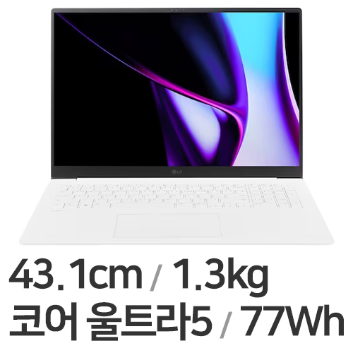 LG전자 2024 그램 프로17 17ZD90SP-GX56K WIN11