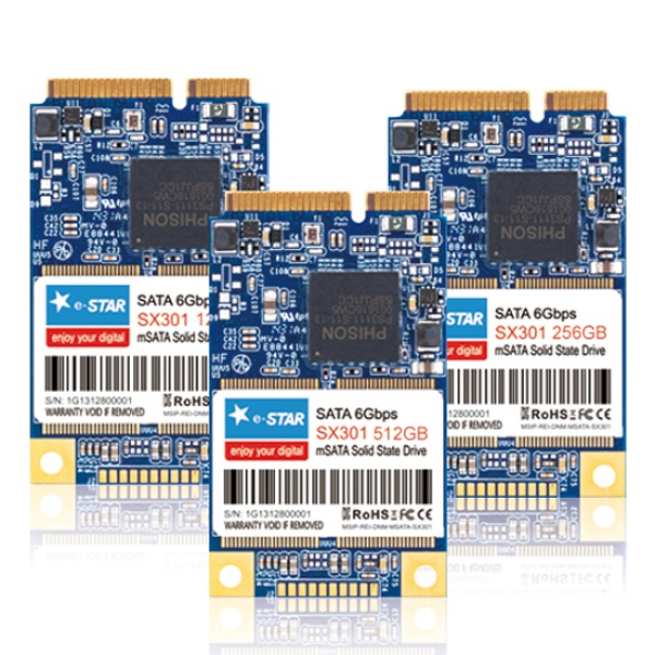 디지탈그리고나 e-STAR SX301 mSATA