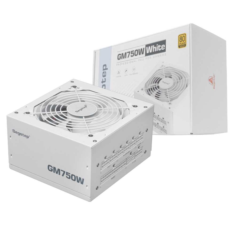 Segotep  GM750W 80PLUS골드 풀모듈러 ATX3.1 화이트