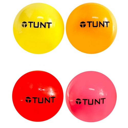 턴트골프  3피스 파크골프공