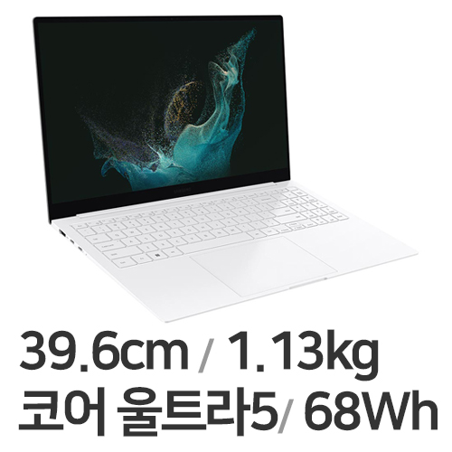 삼성전자 갤럭시북 프로 SE NT950XGQ-A51A