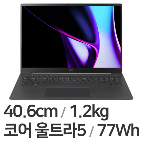 LG전자 2024 그램 프로16 16Z90SP-KA5BK
