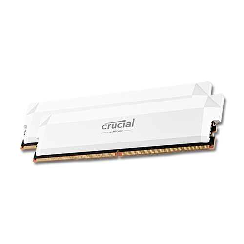 마이크론 Crucial DDR5-6000 CL36 PRO Overclocking White 패키지 아스크텍