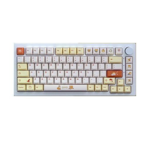 사오파오  체리 시바 강아지2