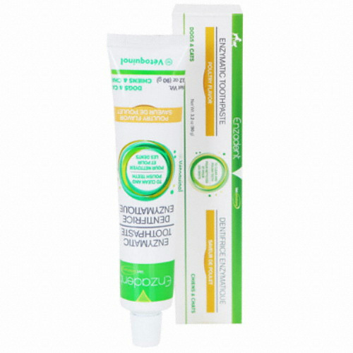 베토퀴놀 엔자덴트 치약 90g