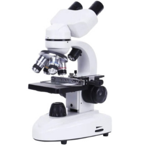 드림스타 현미경 1600배