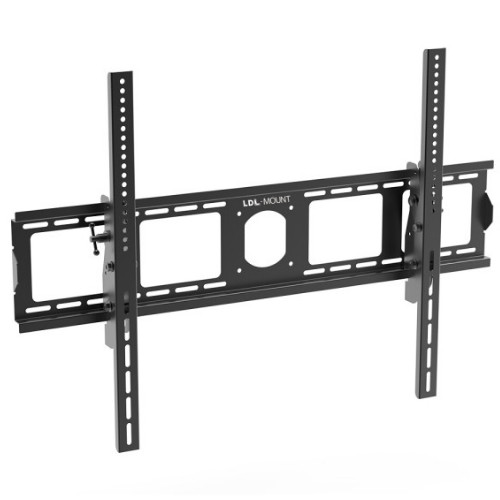 엘디네트웍스 ANYPORT APL-2196T