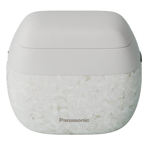 파나소닉 람대쉬 ES-PV6B