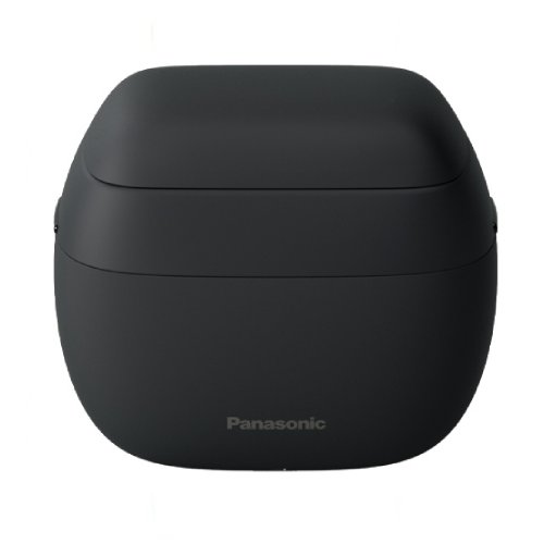 파나소닉 람대쉬 ES-PV3B