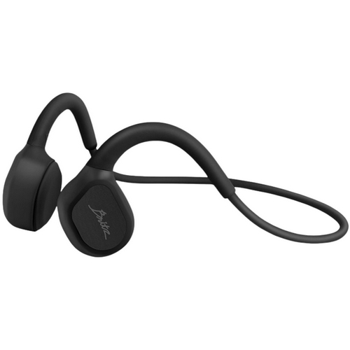 브리츠  JOYFIT100