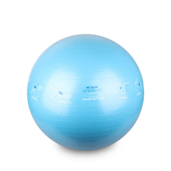 대연엔터프라이즈 업앤쉐이프 스티커 짐볼 블루 65cm
