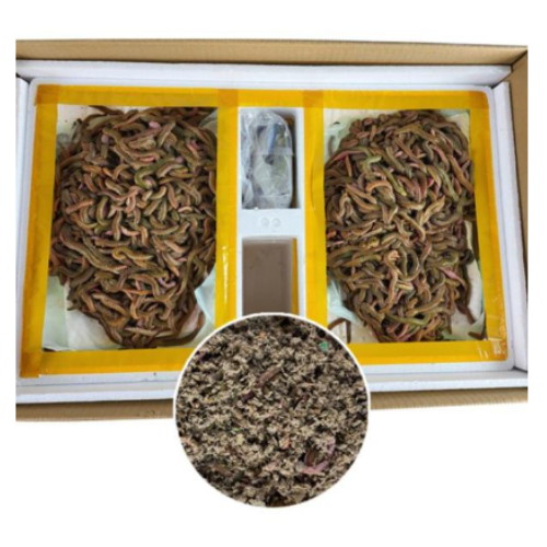 오너클랜  억실통상 청갯지렁이 청개비 50g