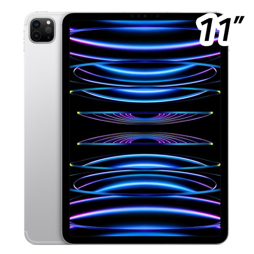 APPLE  2022 iPad Pro 11 Cellular 4세대 중고