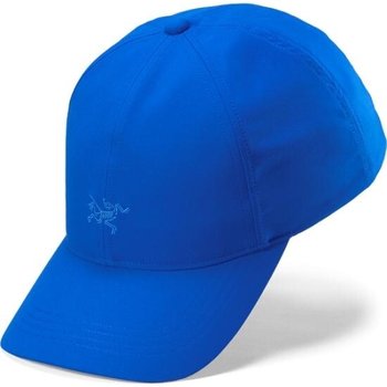 아크테릭스 스몰 버드 햇 AEOFUX7074