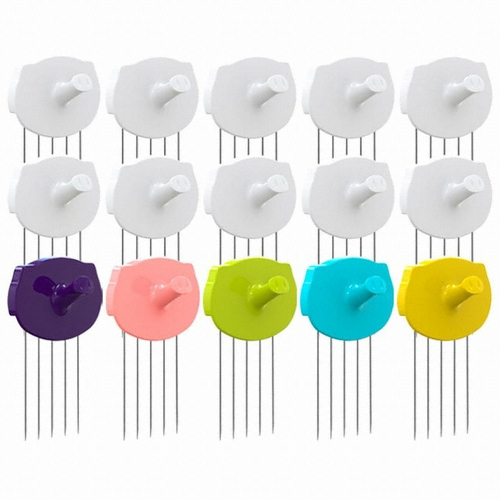 프리젠트  걸면돼지