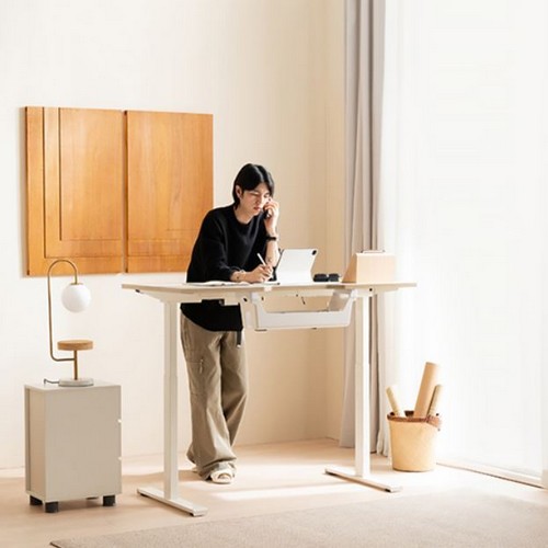 리바트 하움 듀얼모터 라이트 패키지 모션 스탠딩 책상